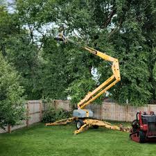 How Our Tree Care Process Works  in  East Pepperell, MA